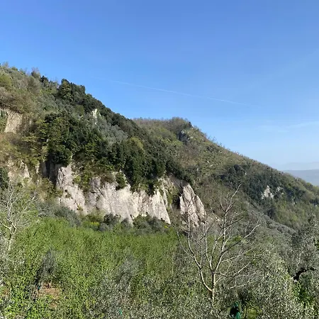 Gauro * Montecorvino Rovella