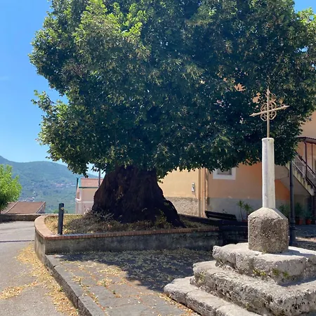 Gauro