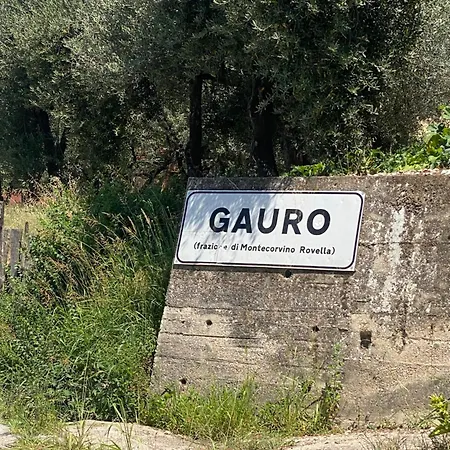Gauro Apartment